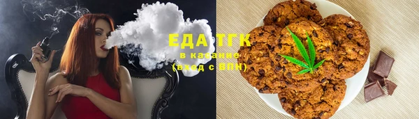 индика Няндома