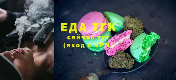 индика Няндома