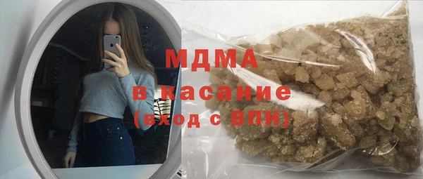 индика Няндома