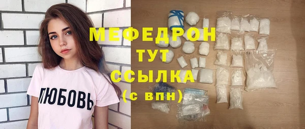 индика Няндома