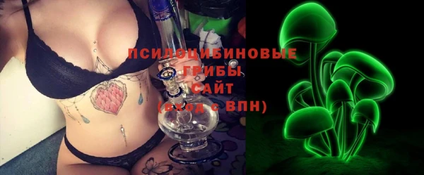 индика Няндома