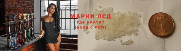 индика Няндома