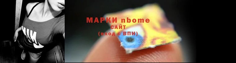 индика Няндома