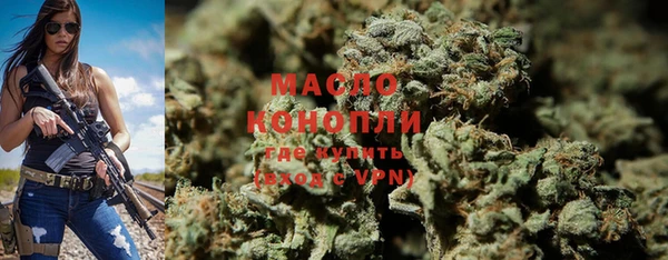 индика Няндома
