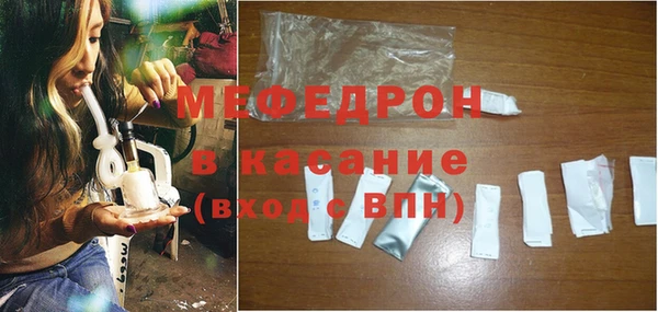 индика Няндома