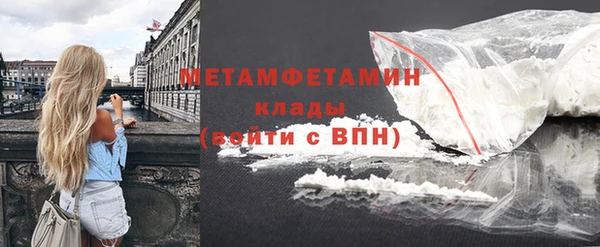 индика Няндома