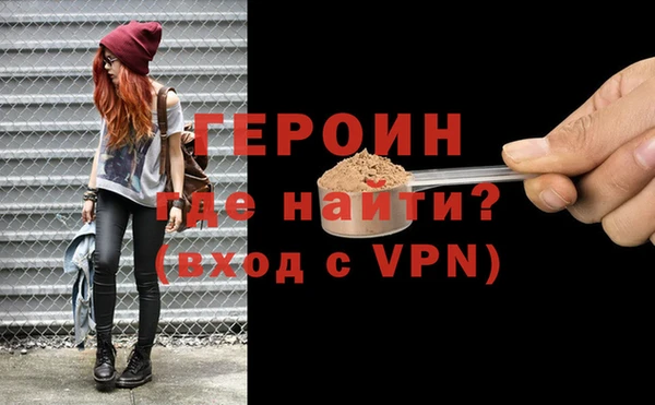 индика Няндома