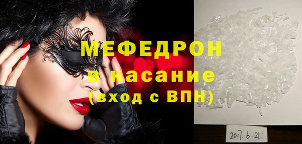 индика Няндома