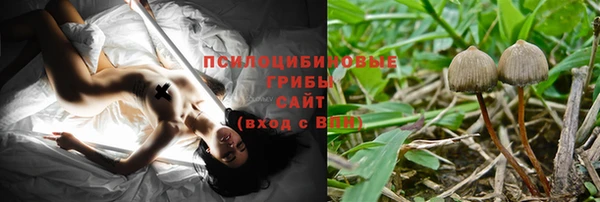 не бодяженный Нязепетровск